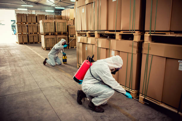 Best Bed Bug Extermination  in Socorro, TX