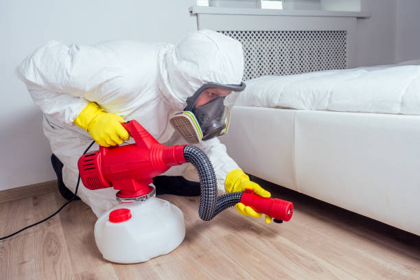 Best Mosquito Control Services  in Socorro, TX