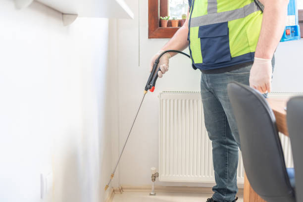 Best Mosquito Control Services  in Socorro, TX